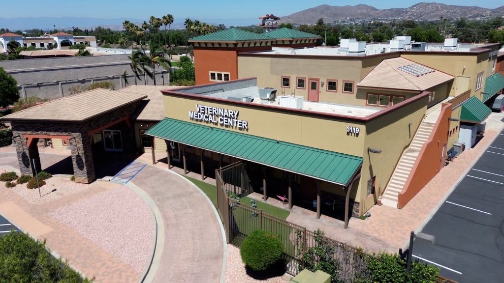 Animal Care Services